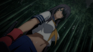 Shin Ikkitousen
